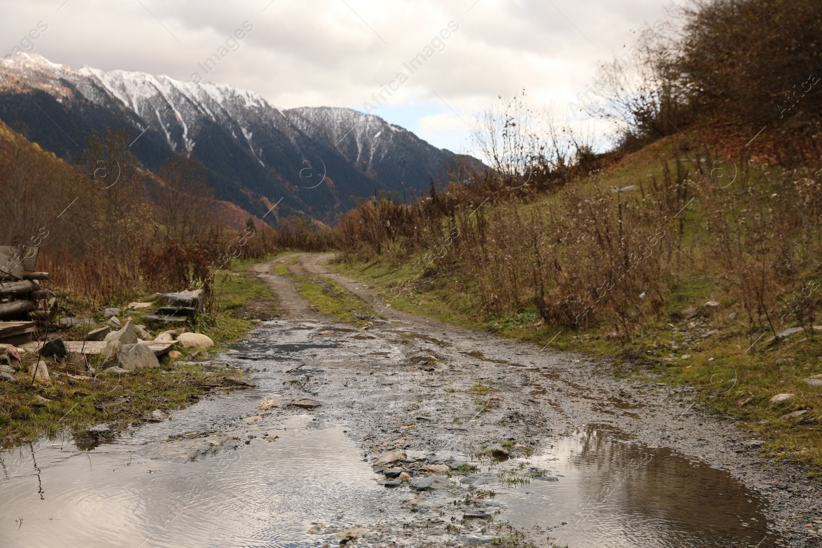 Photo of Picturesque view of river in mountains on autumn day