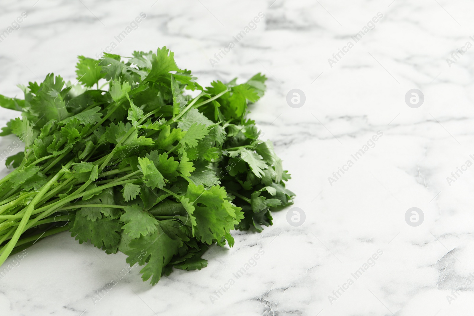 Photo of Bunch of fresh aromatic cilantro on white marble table. Space for text