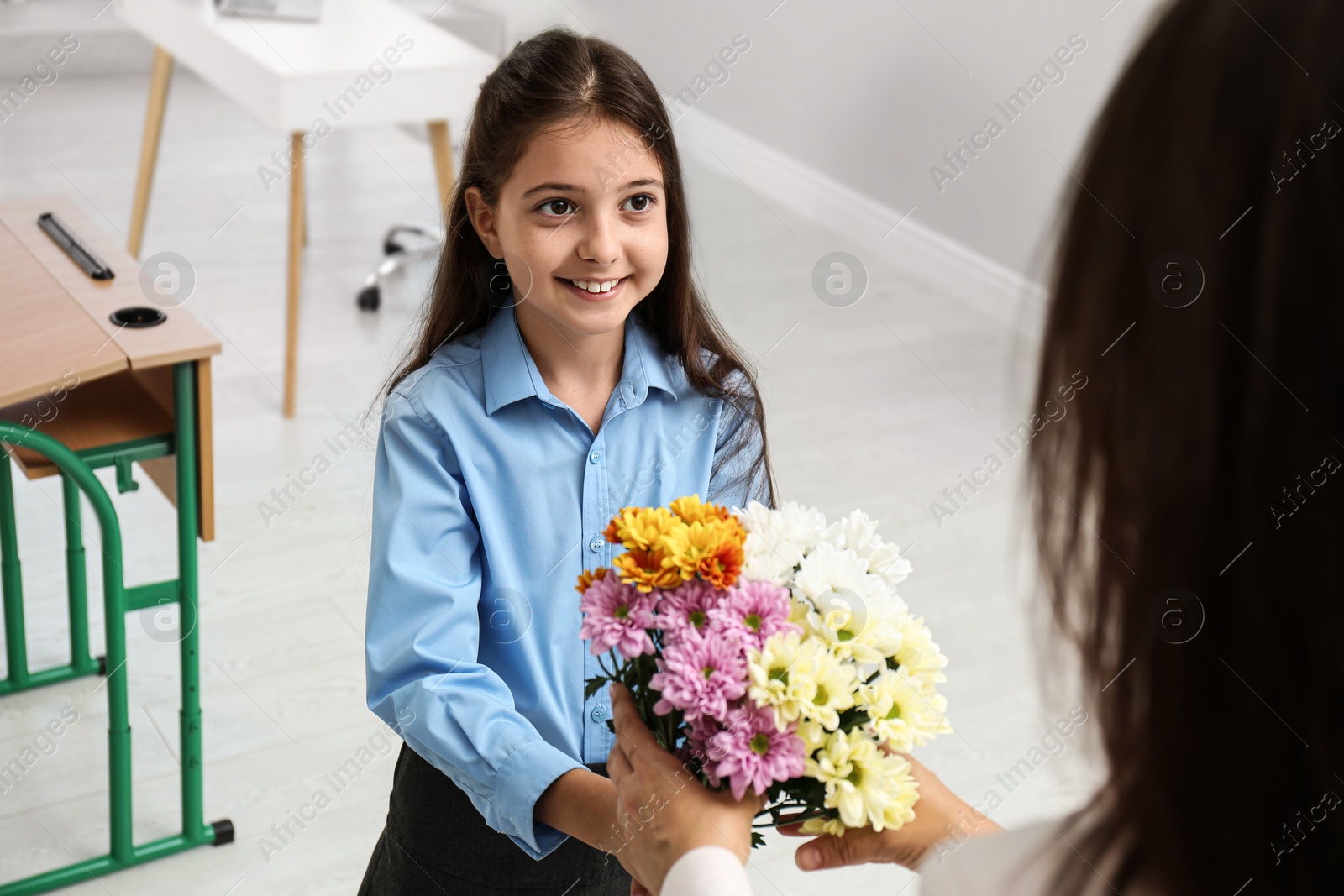 Photo of Schoolgirl congratulating her pedagogue with bouquet in classroom. Teacher's day