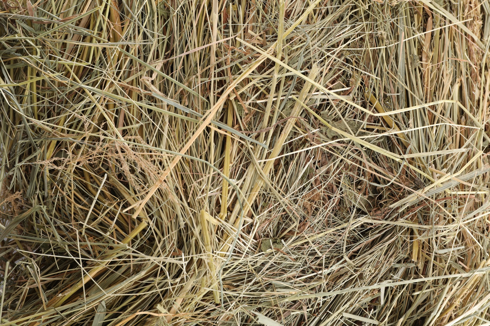 Photo of Pile of dried hay as background, top view