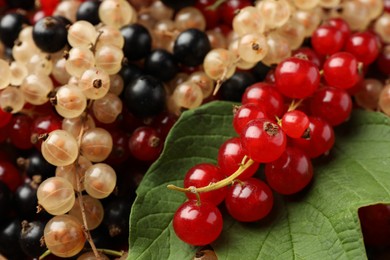 Photo of Different fresh ripe currants and green leaf as background, closeup