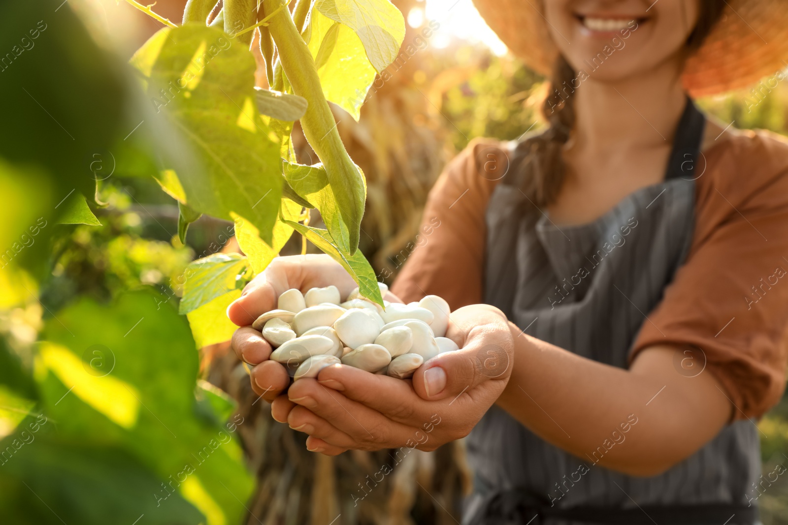 Photo of Woman holding white beans in hands outdoors, closeup