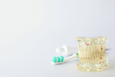 Photo of Typodont teeth, brush and paste on white background, space for text. Dentist consultation