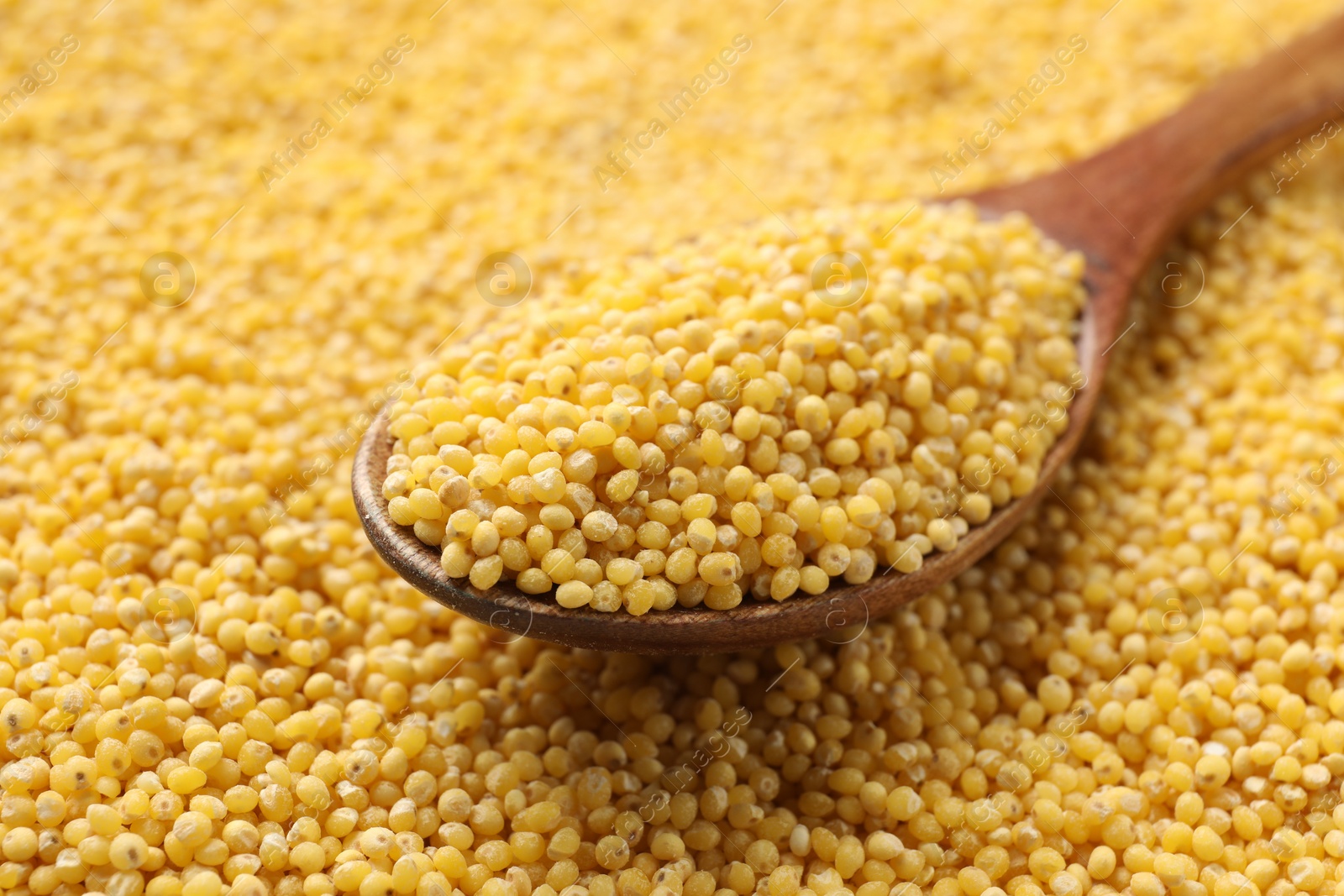 Photo of Wooden spoon with dry millet seeds, closeup