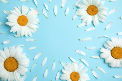 Photo of Beautiful floral composition with chamomile flowers and petals on color background, top view