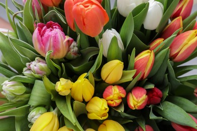 Photo of Beautiful colorful tulip flowers as background, closeup