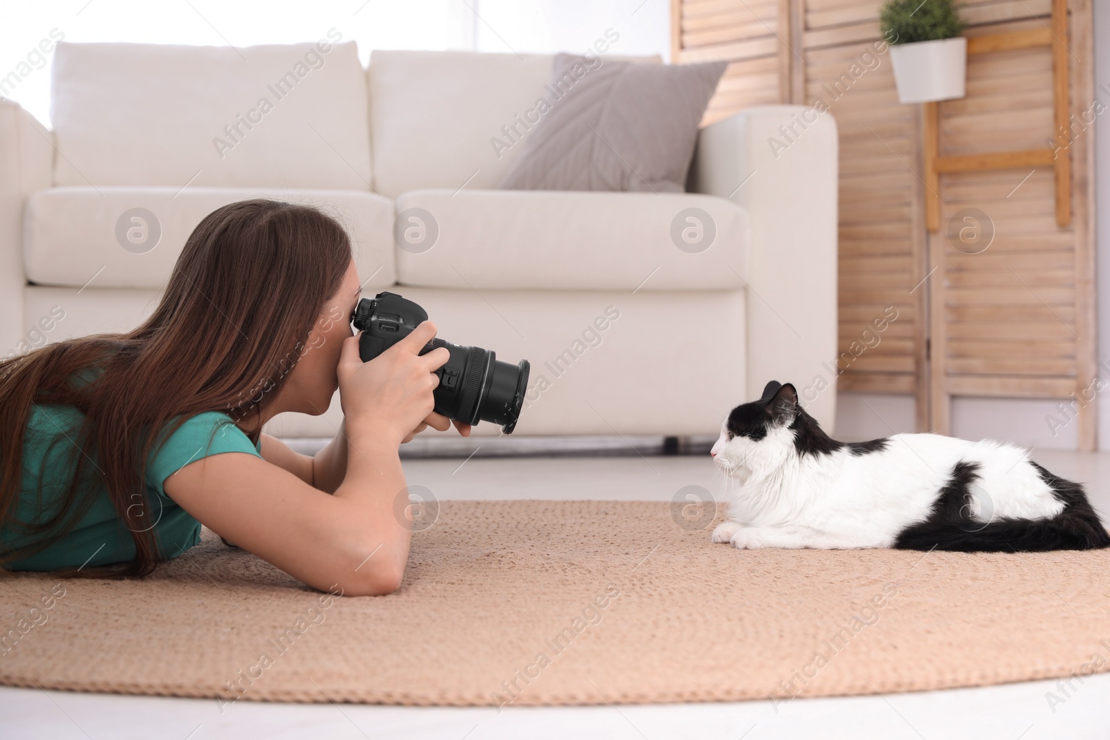 Photo of Professional animal photographer taking picture of beautiful cat at home