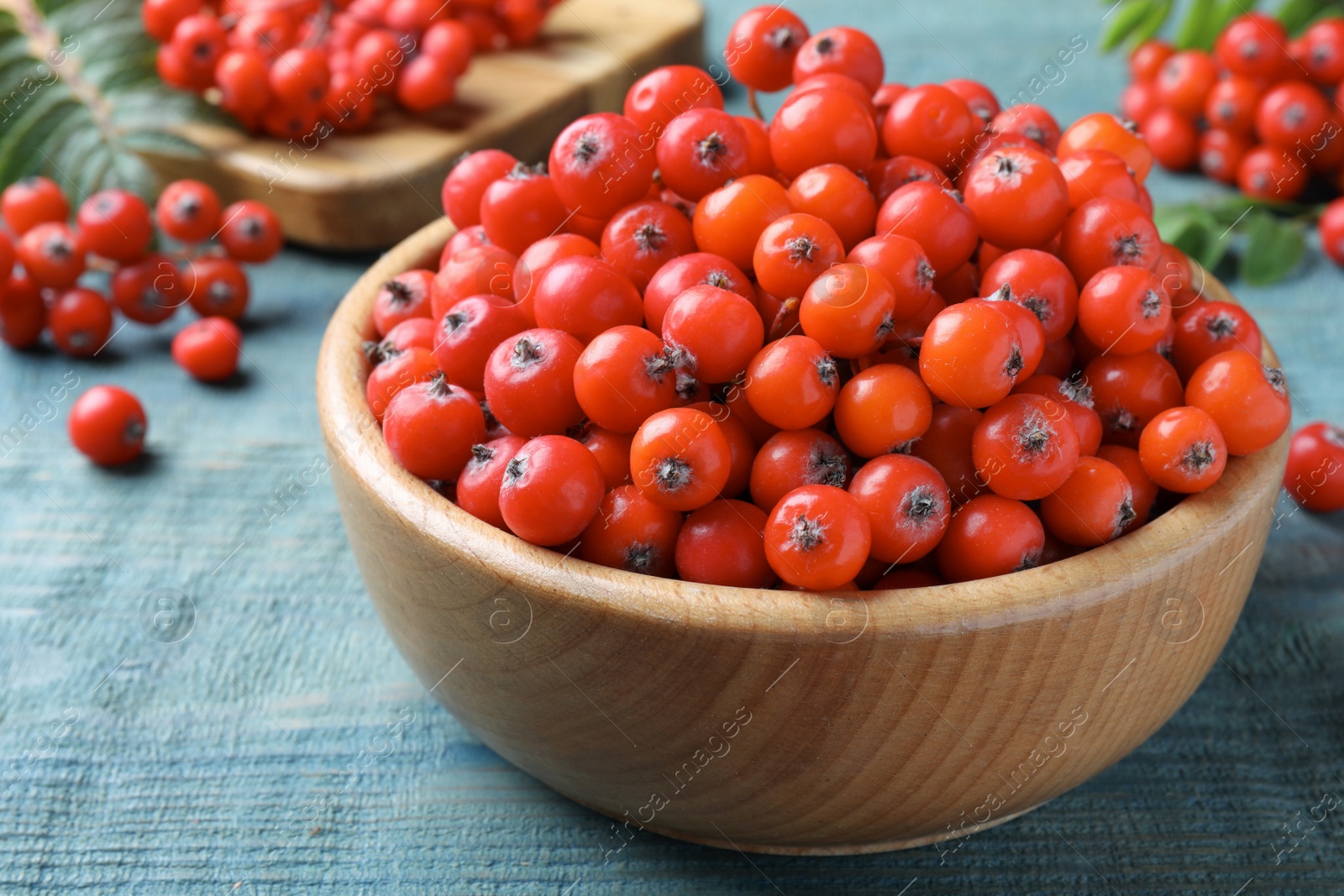 Photo of Fresh ripe rowan berries in wooden bowl on light blue table