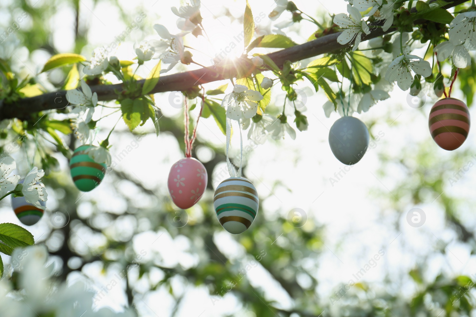 Photo of Beautifully painted Easter eggs hanging on blooming tree outdoors