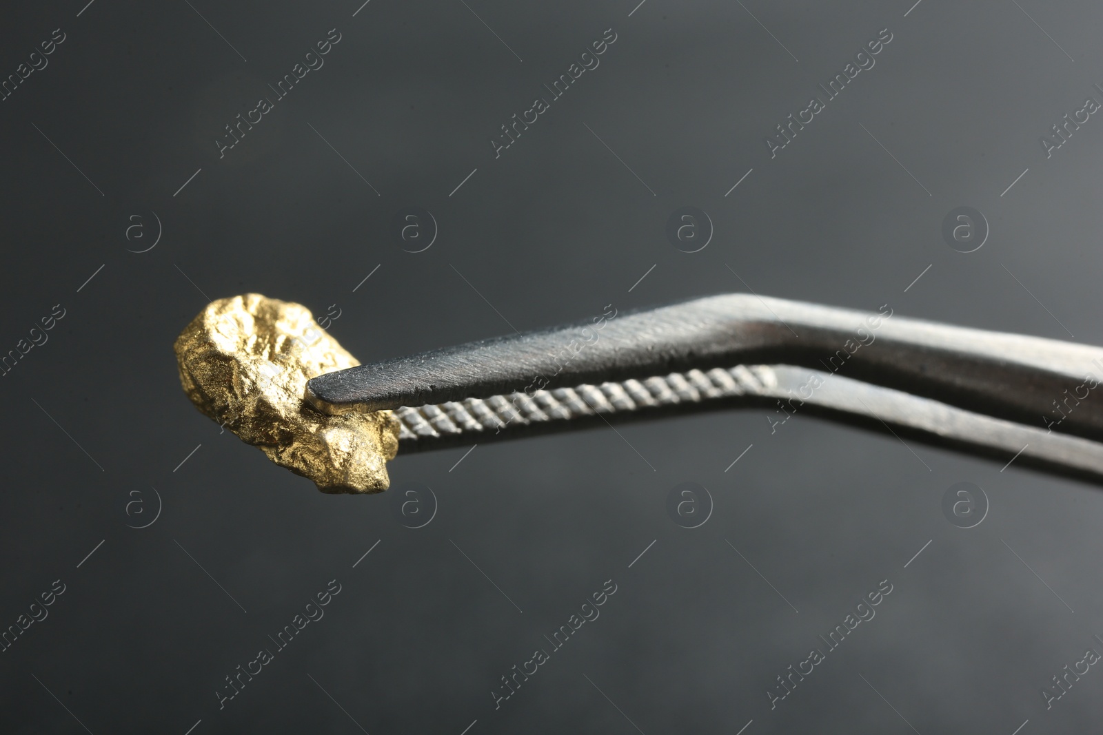 Photo of Tweezer with shiny gold nugget on grey background, closeup