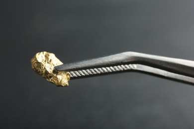 Tweezer with shiny gold nugget on grey background, closeup