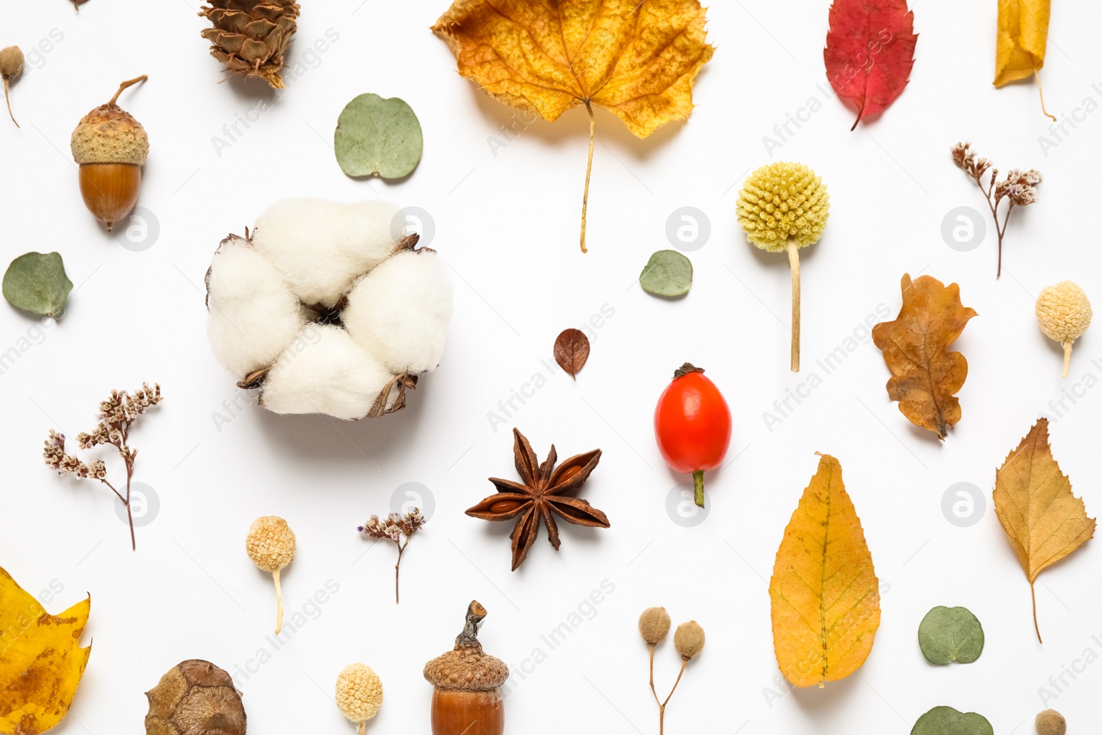 Photo of Flat lay composition with autumn leaves on white background