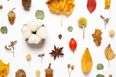 Flat lay composition with autumn leaves on white background