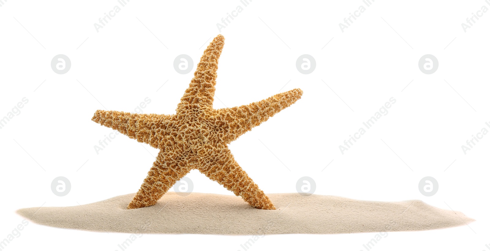 Photo of Pile of beach sand with sea star isolated on white