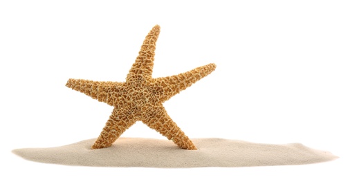 Photo of Pile of beach sand with sea star isolated on white