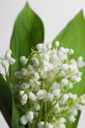 Beautiful lily of the valley flowers with leaves on light grey background, closeup