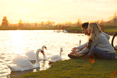 Photo of Young couple near lake with swans at sunset. Perfect place for picnic