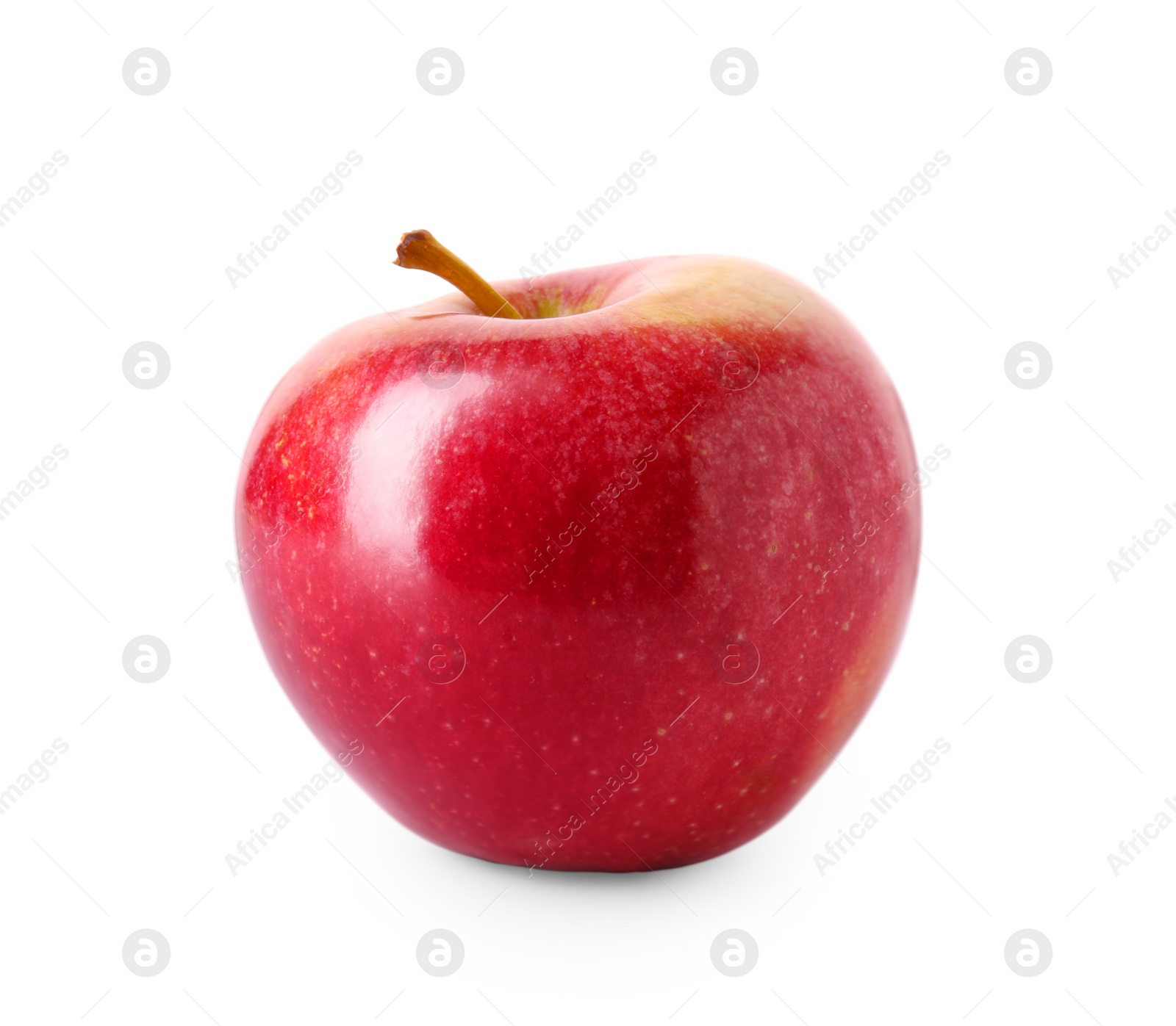 Photo of One ripe red apple isolated on white