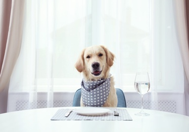 Photo of Cute funny dog waiting for food at dining table indoors