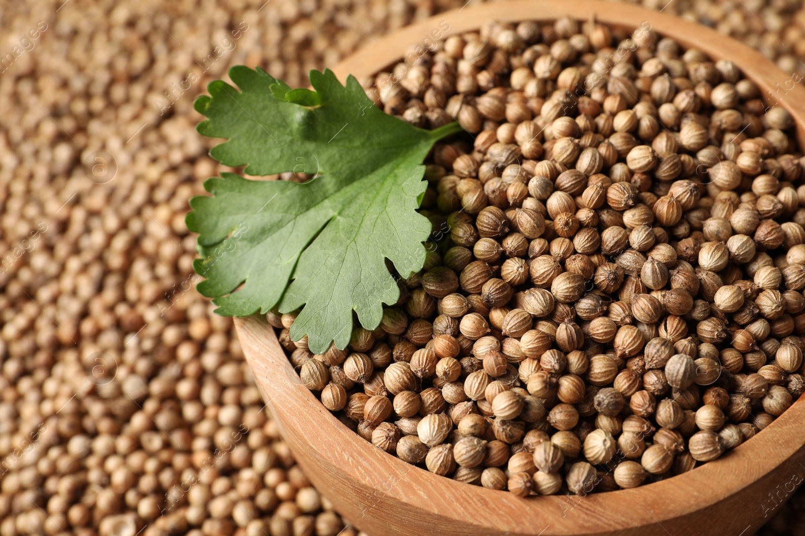 Photo of Bowl with dried coriander seeds and green leaf, closeup