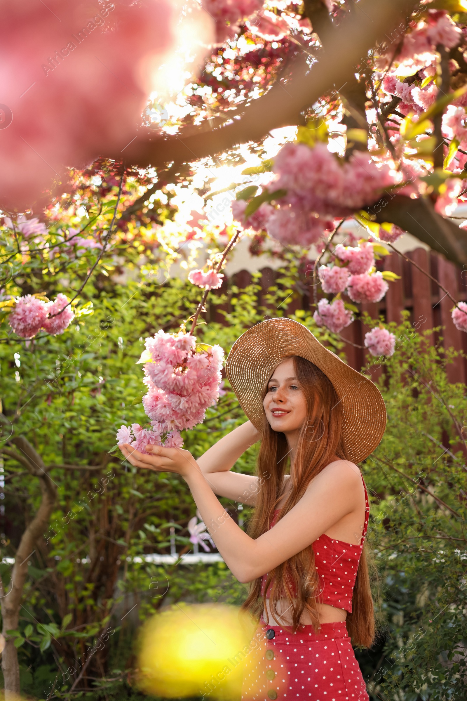 Photo of Beautiful teenage girl near blossoming sakura tree in park on sunny day