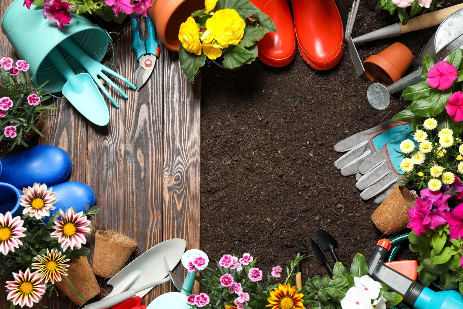 Photo of Flat lay composition with gardening tools and flowers on soil, space for text