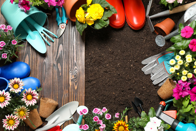 Flat lay composition with gardening tools and flowers on soil, space for text