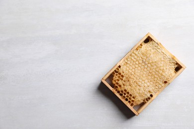 Honeycomb frame on white table, top view with space for text. Beekeeping tool
