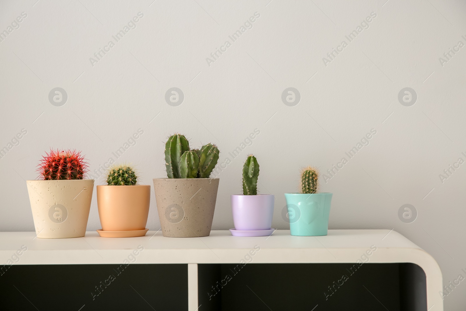 Photo of Beautiful cacti in flowerpots on white cabinet indoors