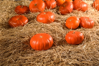 Photo of Many fresh orange pumpkins on dry hay