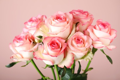 Photo of Bouquet of beautiful roses on pink background, closeup