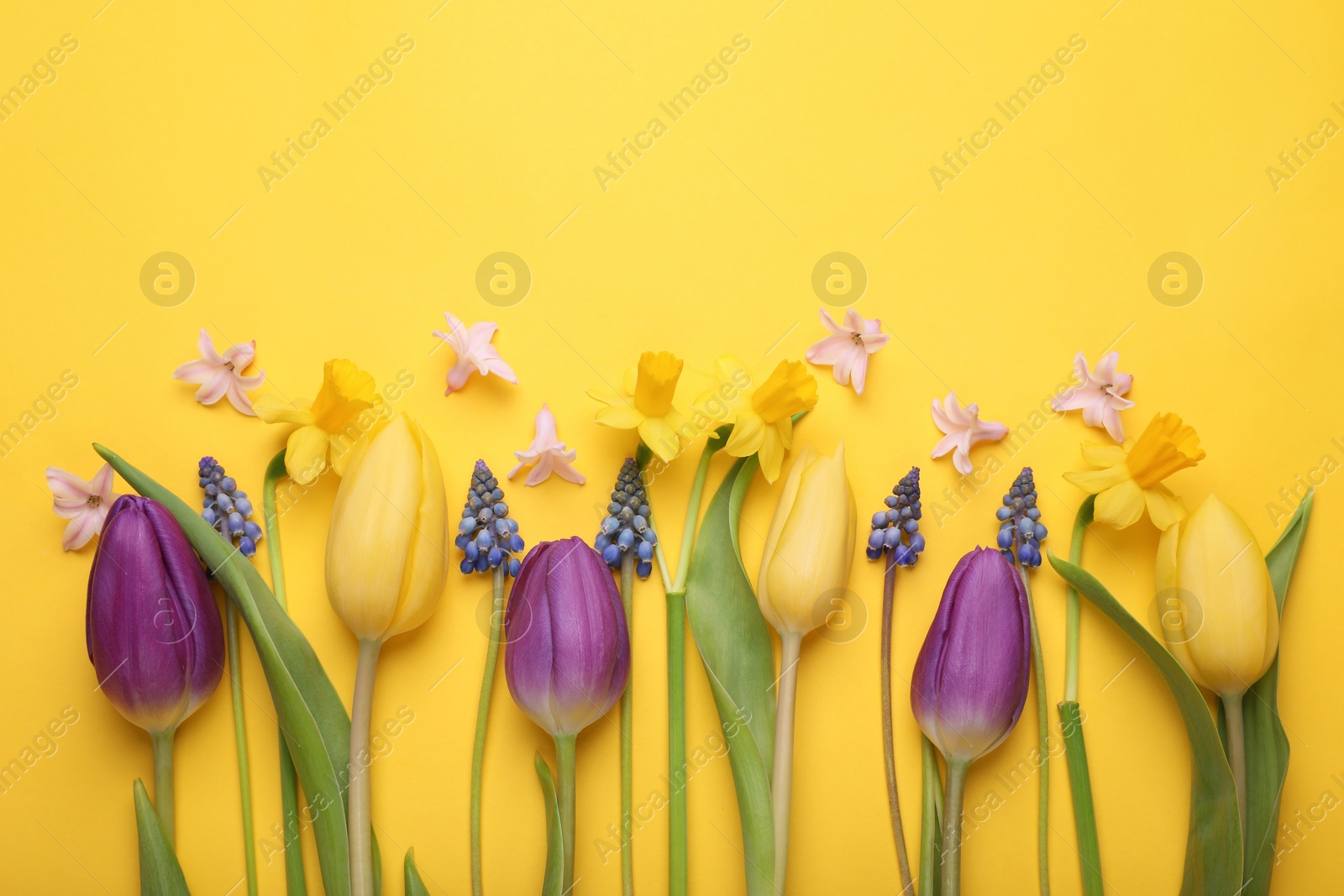 Photo of Beautiful different flowers on yellow background, flat lay. Space for text