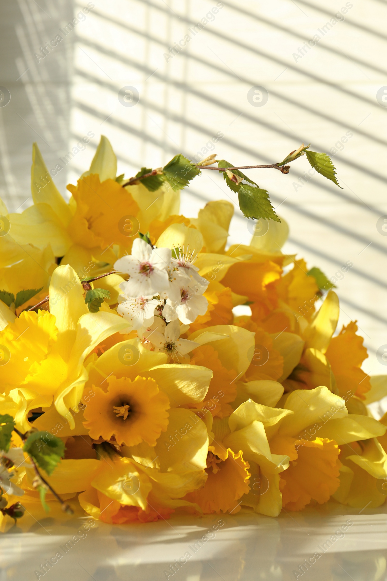 Photo of Yellow daffodils and beautiful white flowers of plum tree on windowsill, closeup