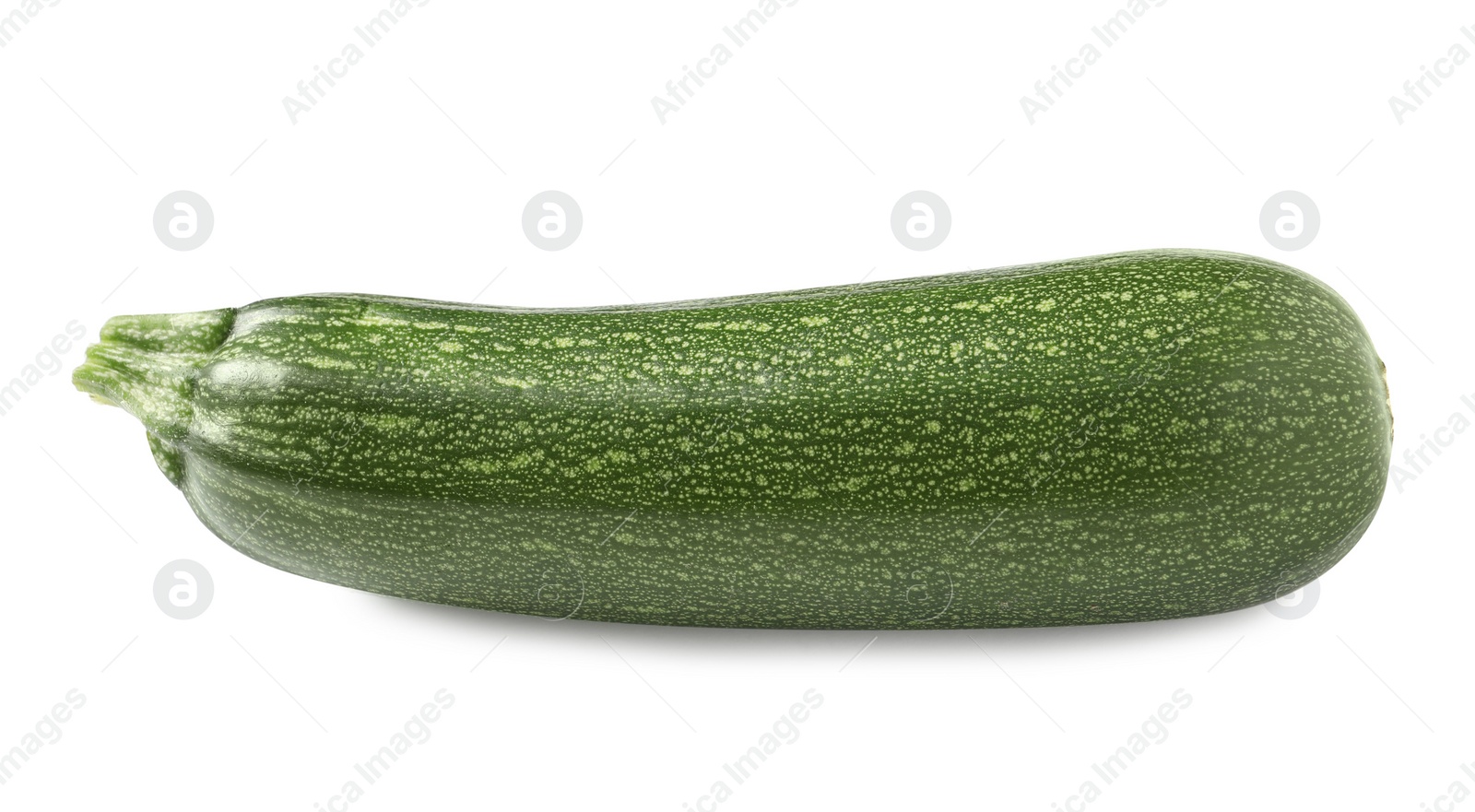 Photo of One raw ripe zucchini isolated on white