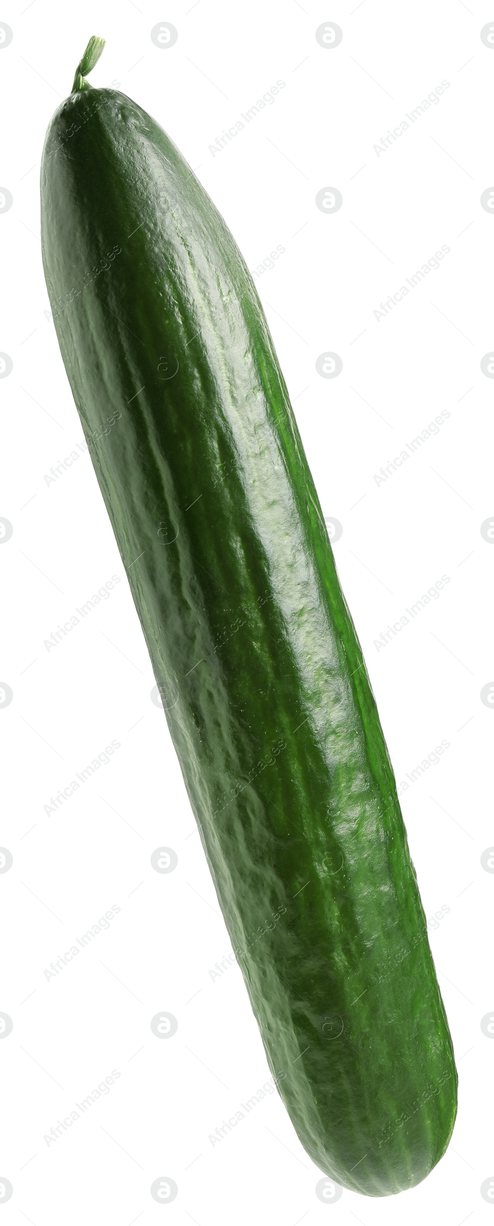 Photo of One long fresh cucumber isolated on white