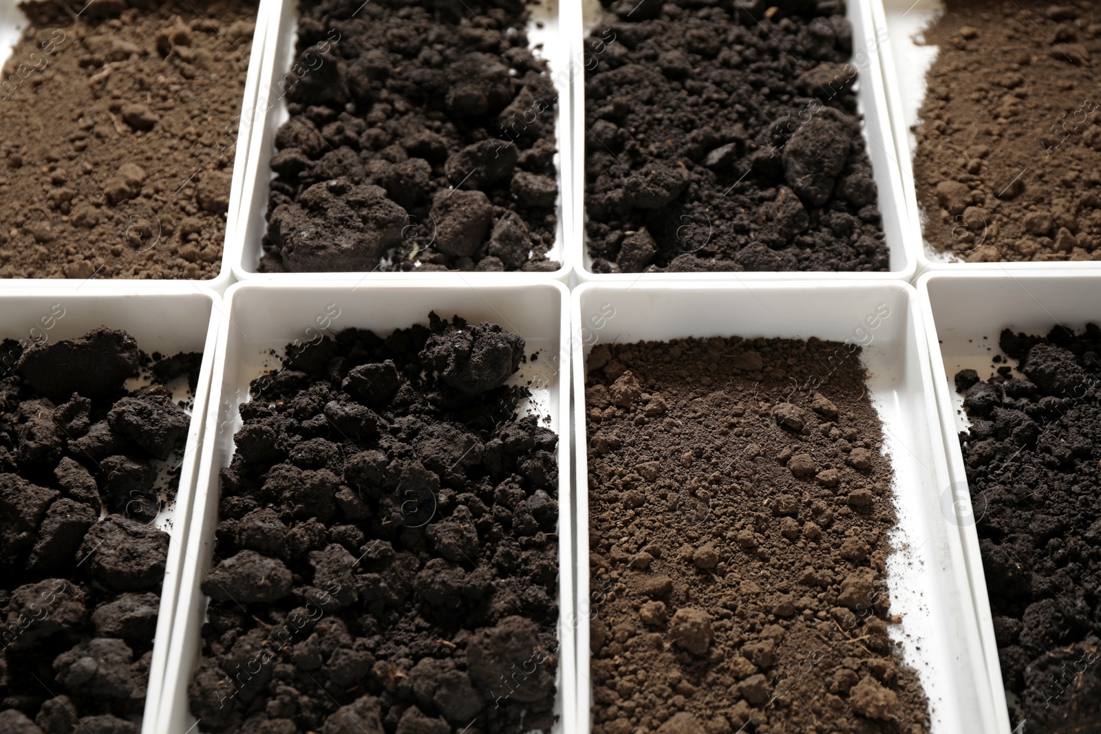 Photo of Containers with soil samples, closeup. Laboratory research