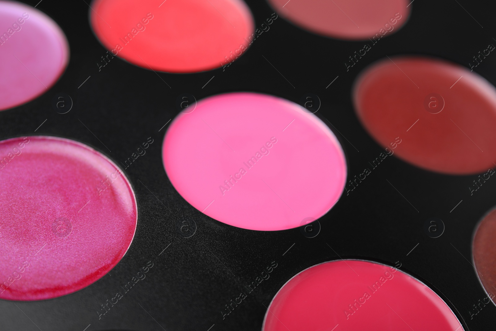 Photo of Cream lipstick palette as background, closeup. Professional cosmetic product
