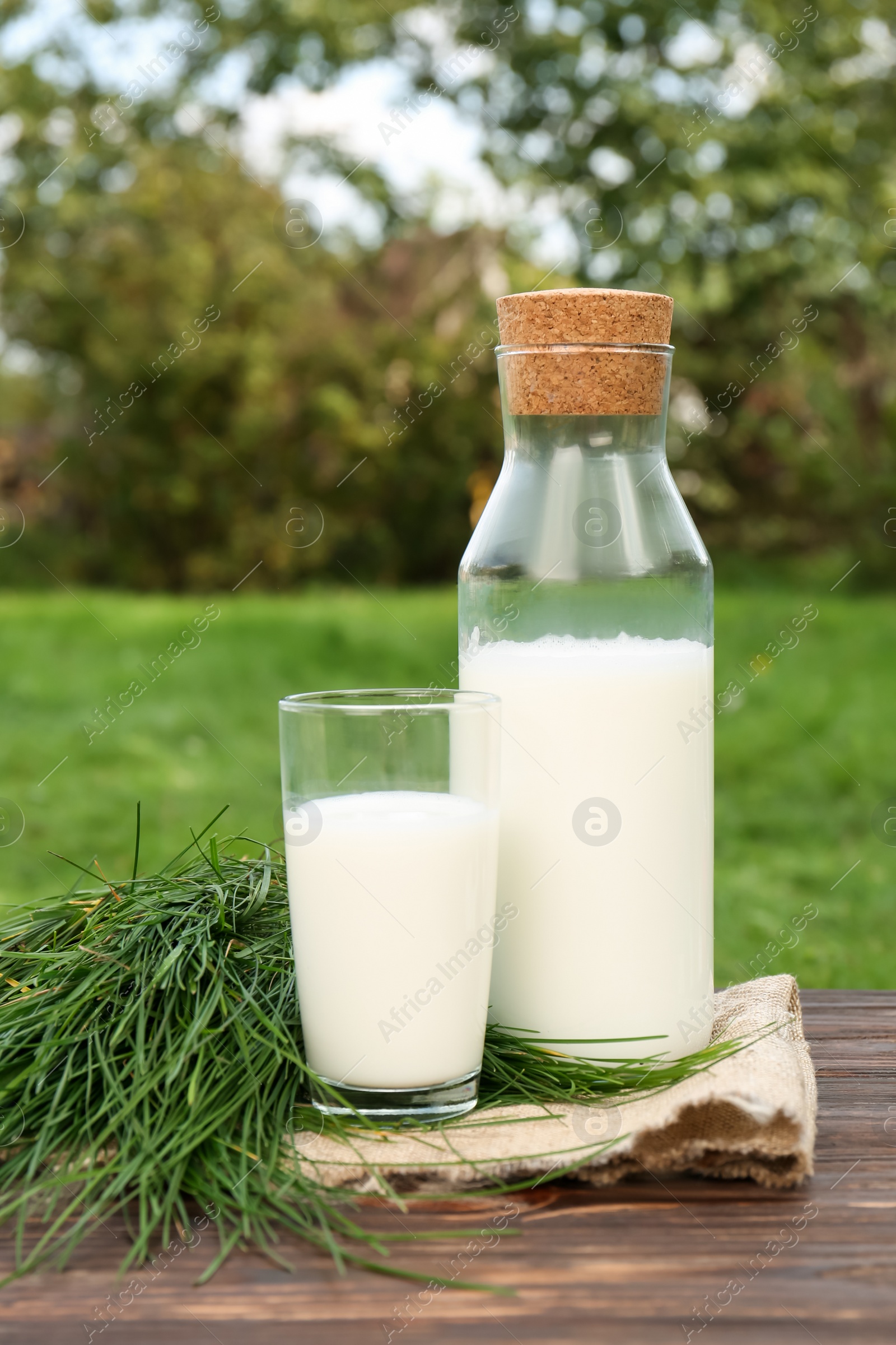 Photo of Tasty fresh milk and green grass on wooden table