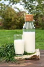 Tasty fresh milk and green grass on wooden table