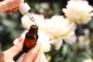 Photo of Woman holding dropper and bottle of essential oil near rose bush in garden, closeup. Space for text