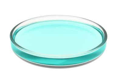 Photo of Petri dish with turquoise liquid isolated on white