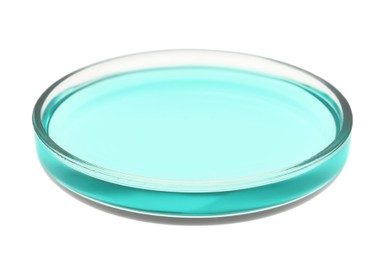 Petri dish with turquoise liquid isolated on white