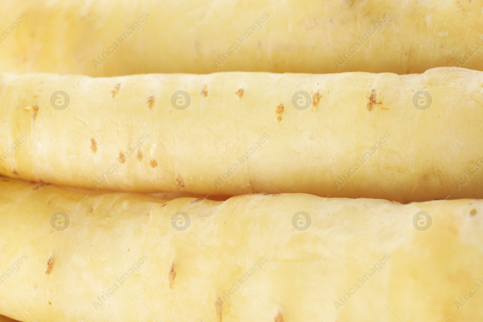 Photo of Fresh raw white carrots as background, closeup