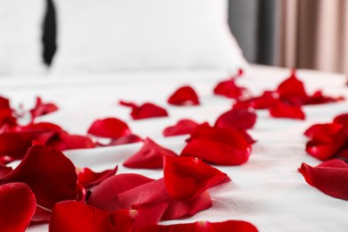 Photo of Honeymoon. Beautiful rose petals on bed, closeup