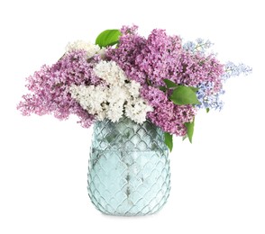 Beautiful lilac flowers in glass vase isolated on white