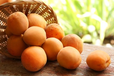Delicious ripe apricots with wicker basket on wooden table outdoors, closeup
