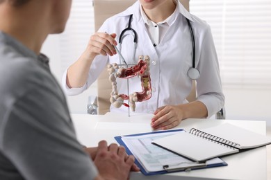 Gastroenterologist with anatomical model of large intestine consulting patient at table in clinic, closeup