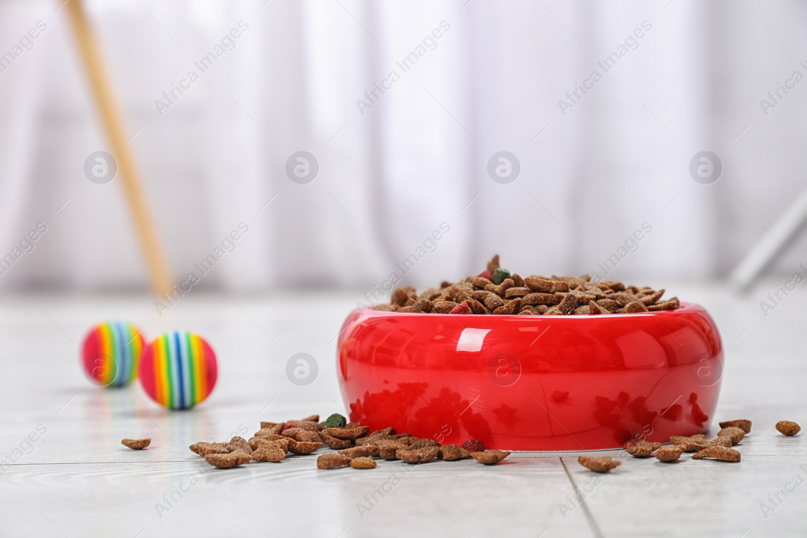 Photo of Bowl with food for cat or dog on floor. Pet care