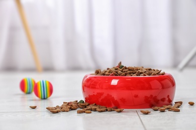 Photo of Bowl with food for cat or dog on floor. Pet care