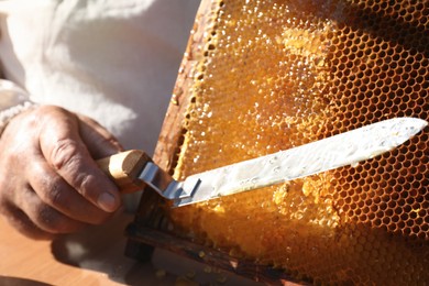 Photo of Beekeeper with uncapping knife and hive frame, closeup